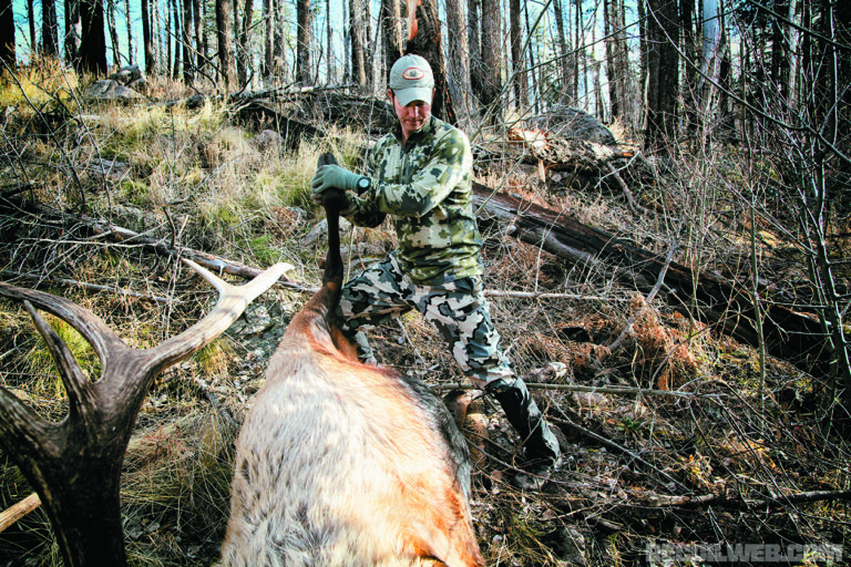 Hunting Elk in the Arizona High Country RECOIL