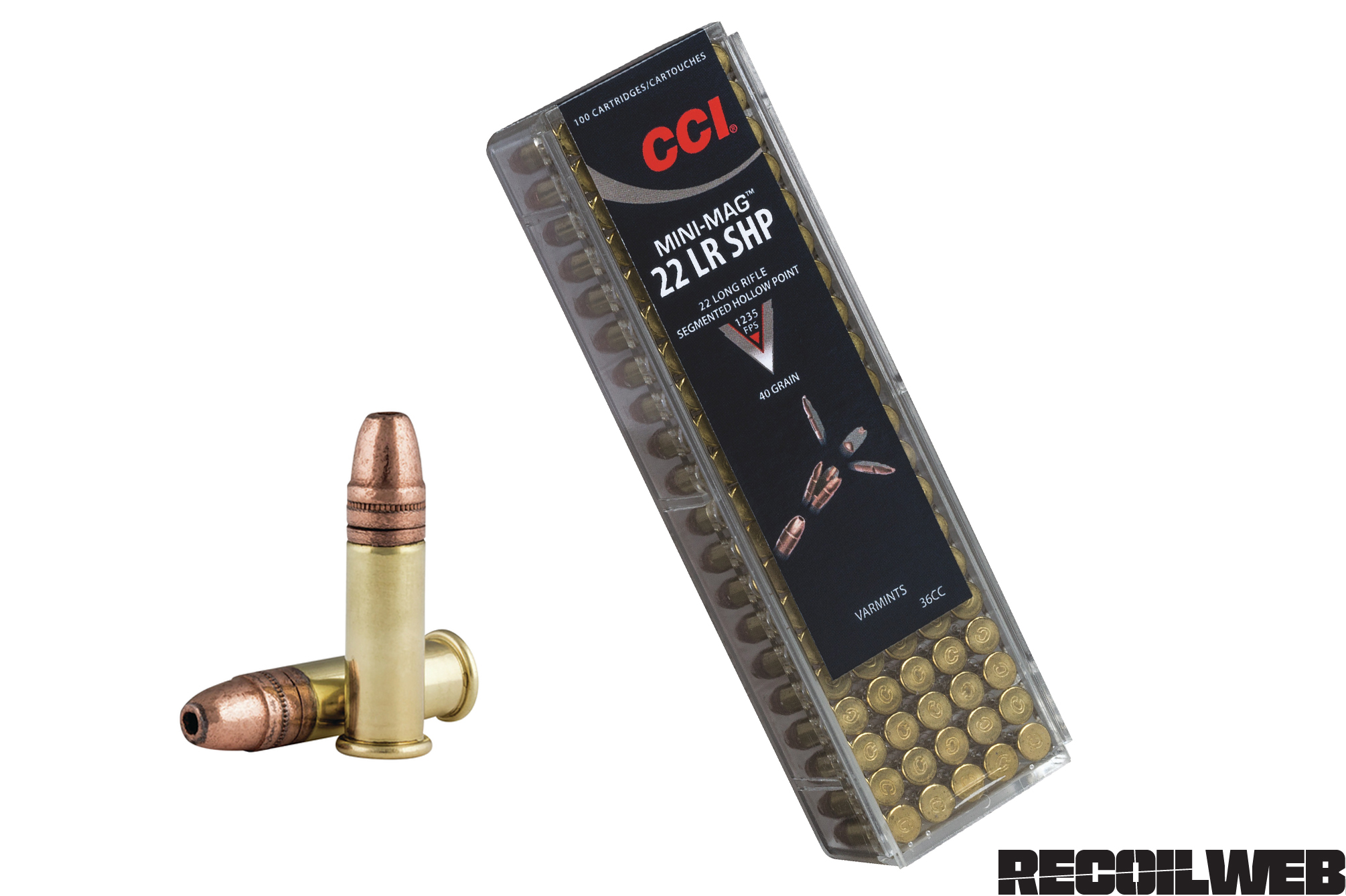 22 LR (Long Rifle) 36 Grain Hollow Point Mini-Mag 100 Rounds by CCI