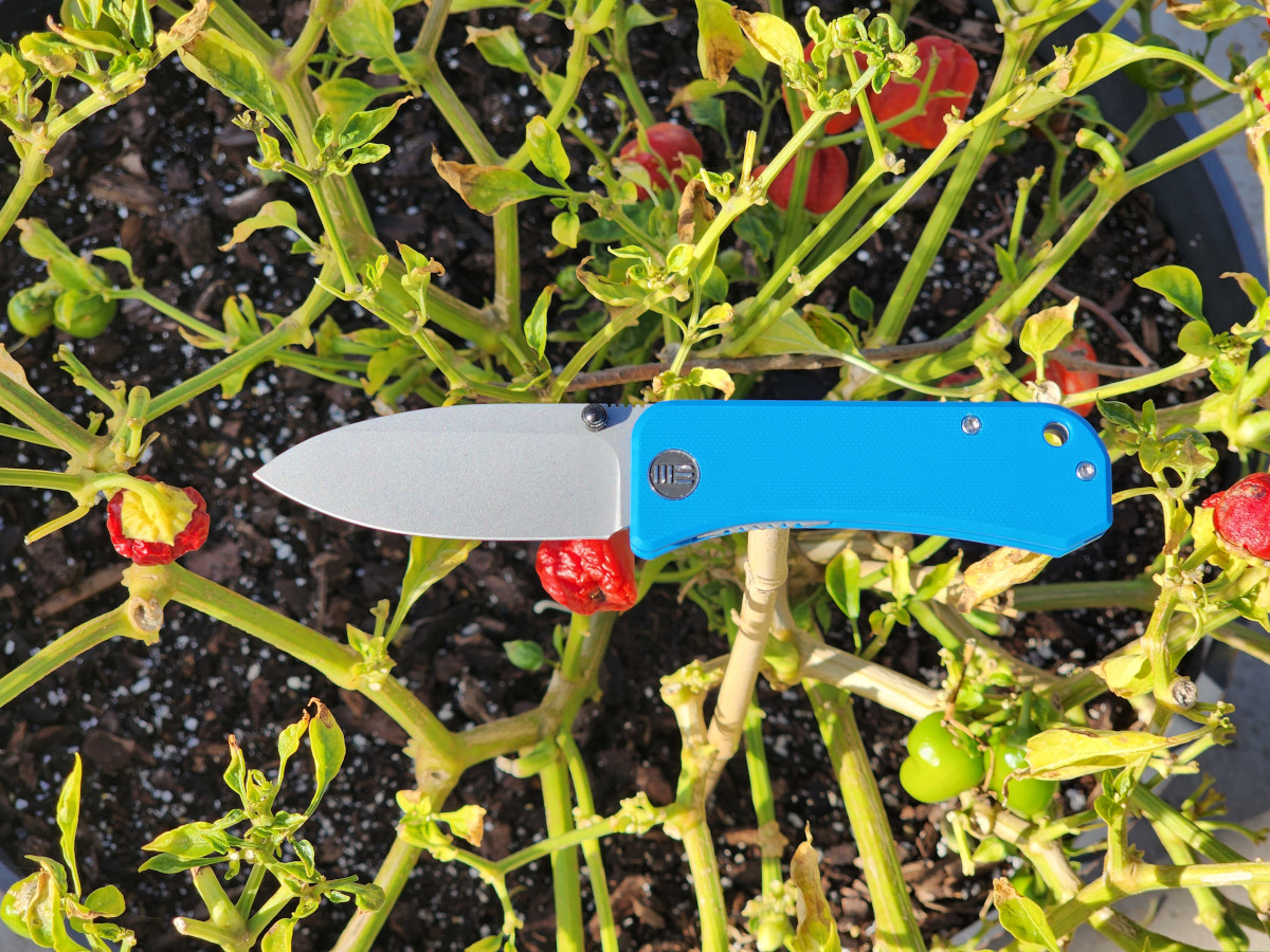 The WE Banter Full Review: Ben Petersen's First Foray Into EDC Knife Design  - Knife Thoughts